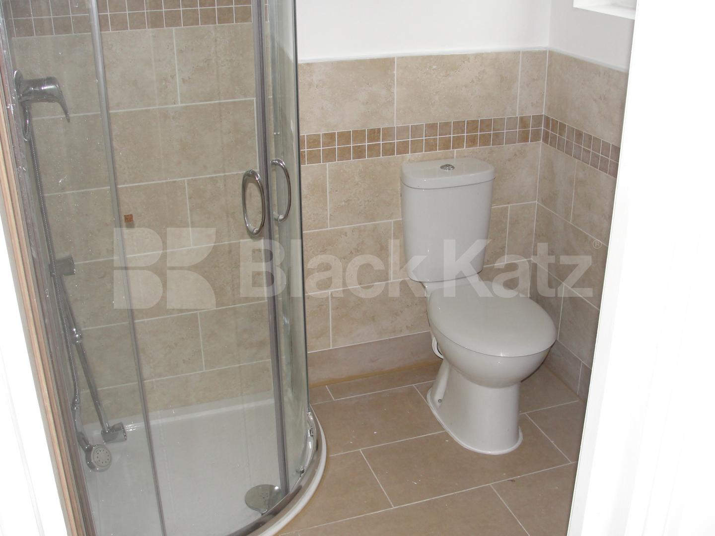 			NEW INSTRUCTION , Studio Apartment, 1 bath, 1 reception Flat			 Baldry Gardens, Streatham Common